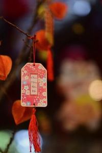 lịch sử cược Fun88